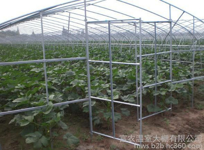天津富农温室大棚 打造现代农业的四季温室家园