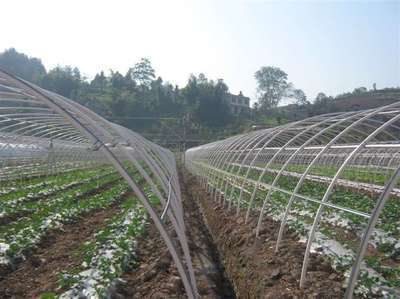 塑料大棚骨架 价格、厂家与选购指南