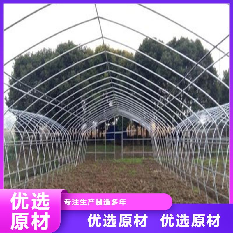 蔬菜大棚与连栋大棚 高效农业的现代化选择
