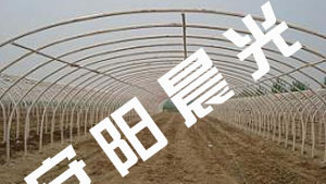日光温室大棚骨架与食用菌大棚骨架——现代农业的关键支撑