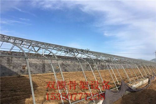 120大棚双梁C型钢骨架设备选购指南 阜新农户必看的放心产品挑选技巧